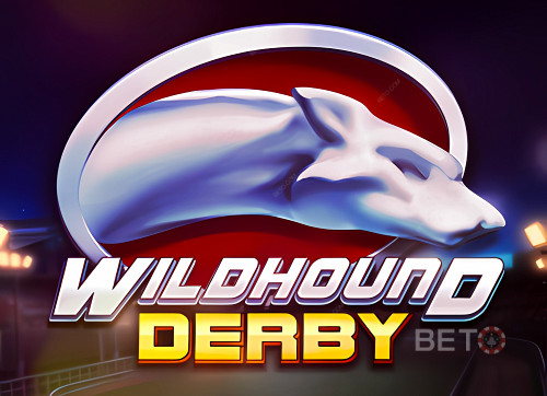 Wildhound Derby