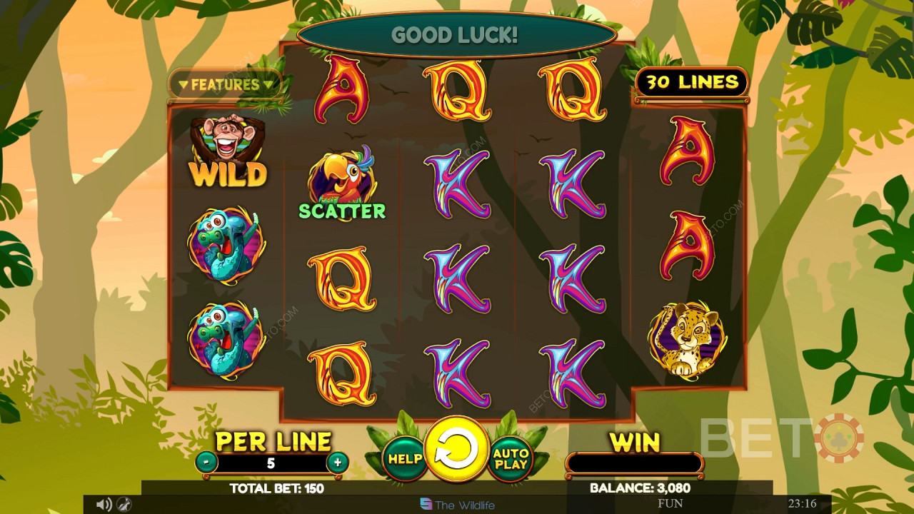 Wacky Monkey Igraj Besplatno