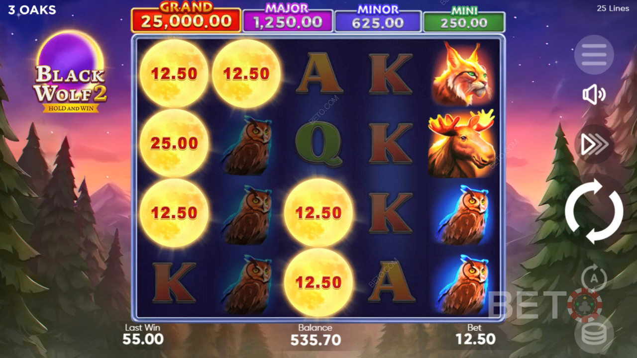 Black Wolf 2 Igraj Besplatno