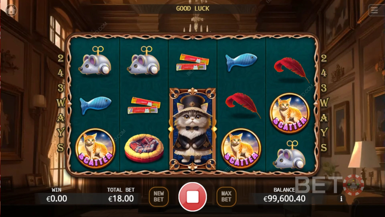 Noble Cat Igraj Besplatno