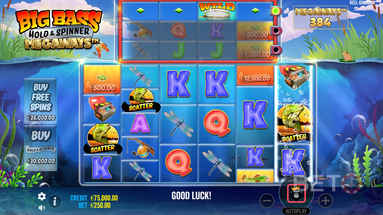 Рецензија Big Bass Hold и Spinner Megaways од стране BETO Slots