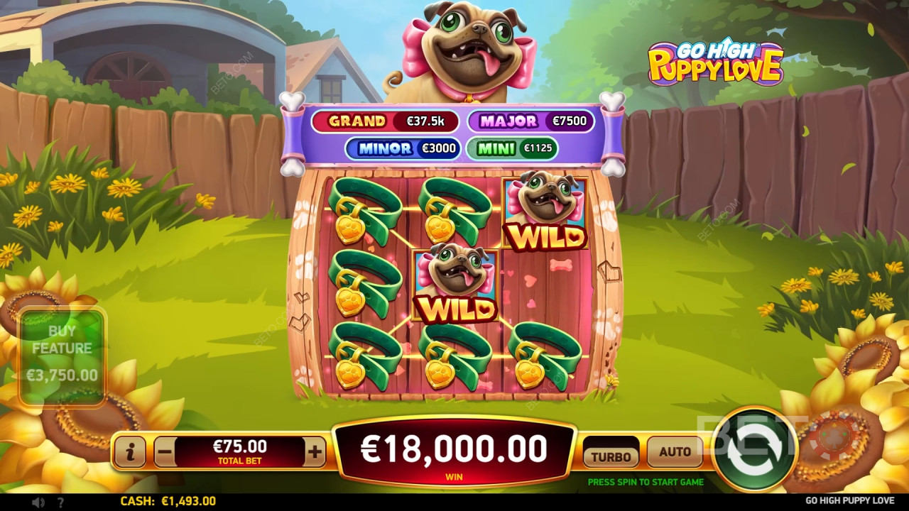 Рецензија игре Go High Puppy Love од стране BETO Slots