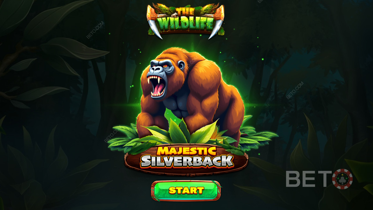 Бонус карактеристике објашњене у игри Majestic Silverback од стране Spinomenal