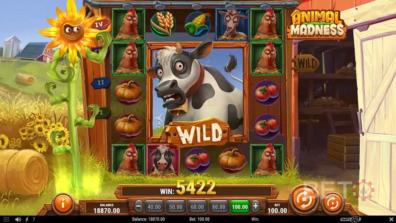 Animal Madness Igraj Besplatno
