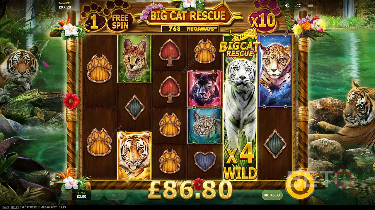 Big Cat Rescue Megaways Igraj Besplatno