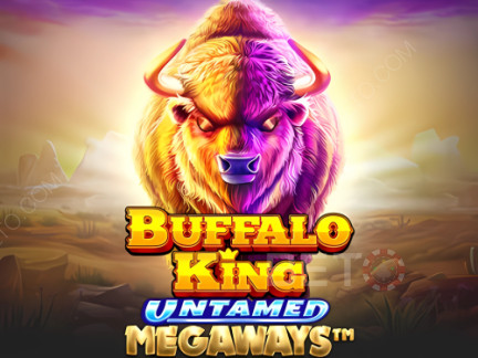 Czech: Buffalo King Untamed Megaways Demo